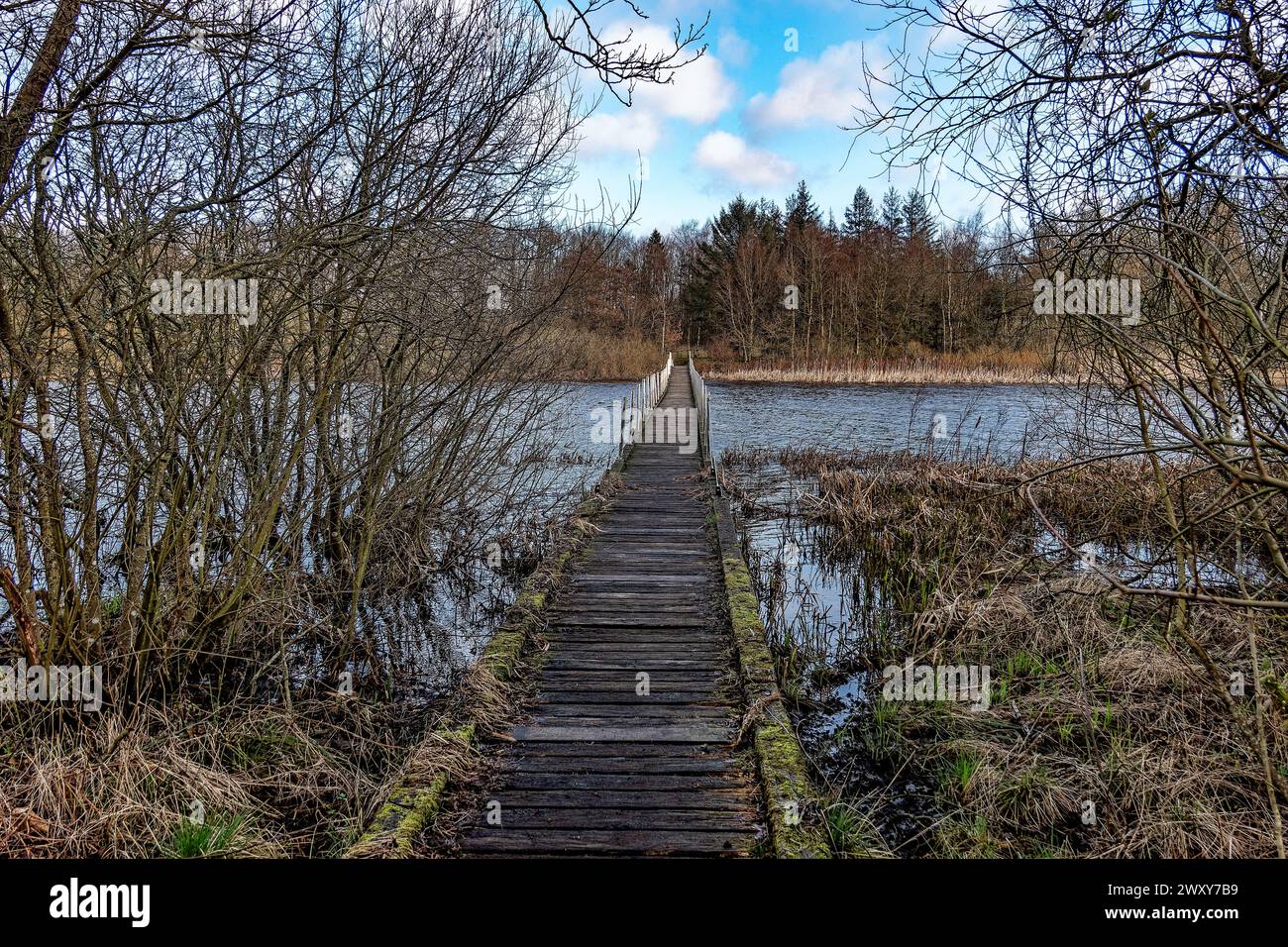 Lago artificiale di Karlsgarde nella Danimarca rurale Foto Stock