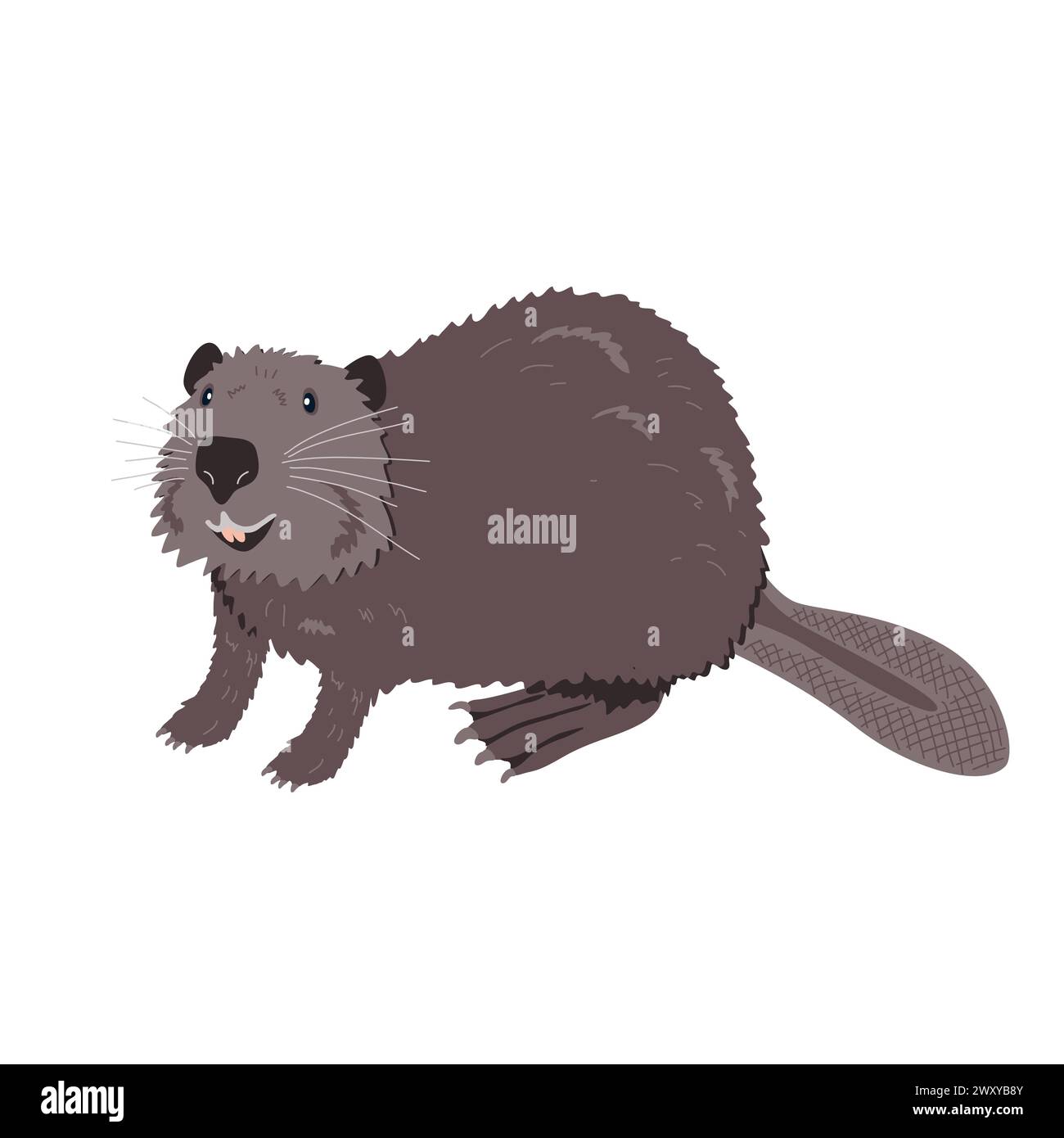 Illustrazione vettoriale di castoro isolata su bianco. Divertente personaggio animato cartoni animati di castoro felice Illustrazione Vettoriale