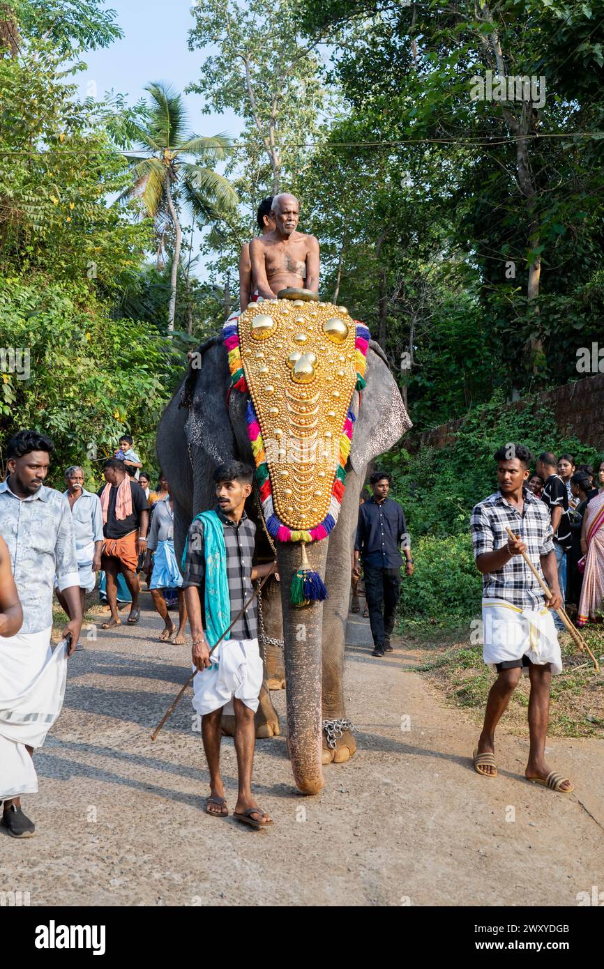 Mattathur, 27, marzo 2024: Festa del tempio di Dever, elefante decorato con copricapo dorato vicino a un tempio, Kerala, India. Foto Stock