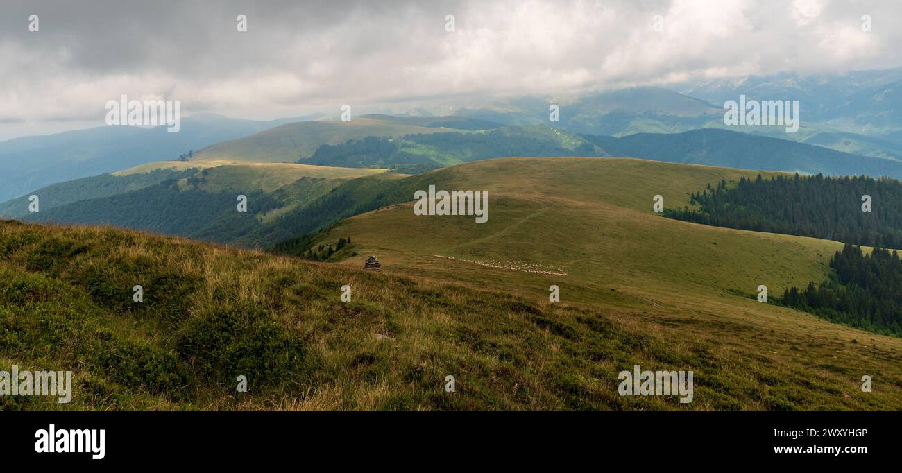 Colline dei Carpazi meridionali in Romania coperte da un mix di prati e foreste con l'alimentazione delle pecore - vista dalla collina di Arcanu nelle montagne del Valcan Foto Stock