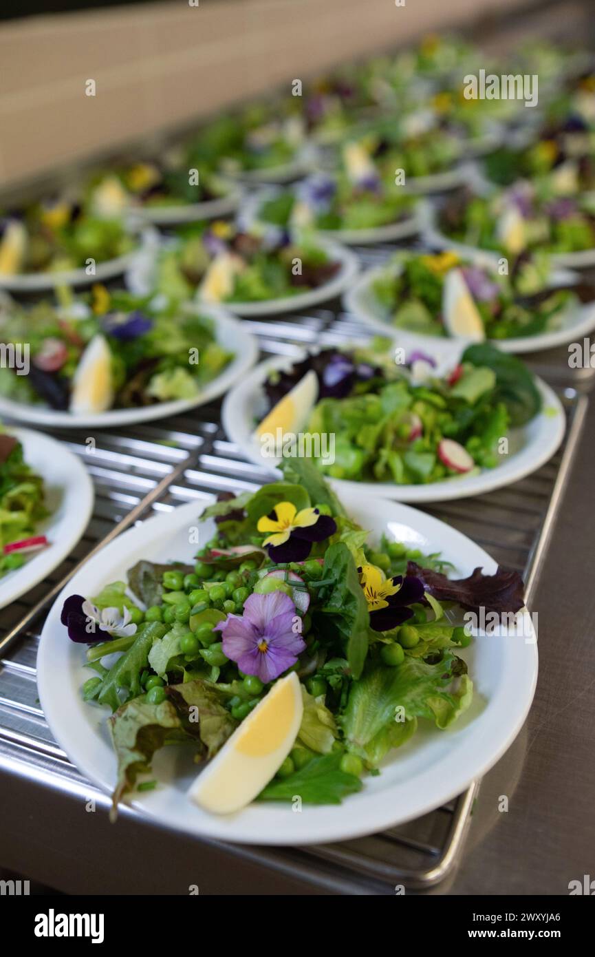 Privas, scuola media “College Bernard de Ventadour” (Francia sud-orientale): Preparare i pasti nella caffetteria della scuola. Insalata con fiori commestibili, Foto Stock