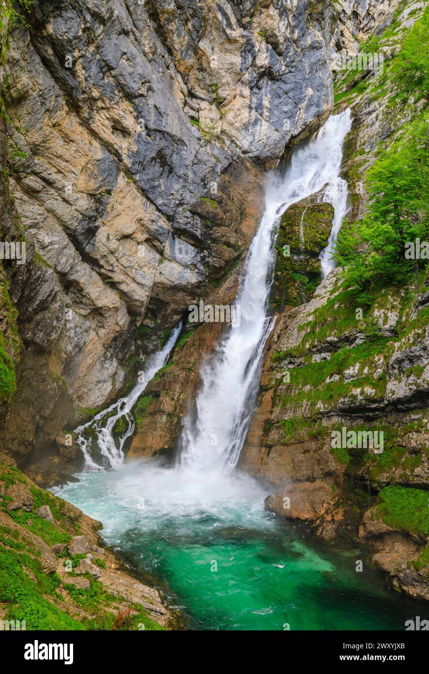 Salta Savica (cascate di Savica) sul lago Boninj, una popolare attrazione turistica nel nord-ovest della Slovenia, nell'Europa centrale e orientale Foto Stock