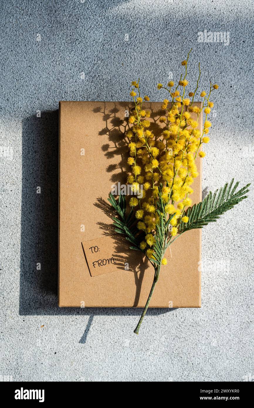 Dall'alto i luminosi fiori di mimosa riposano in cima a una confezione regalo kraft con un tag, che getta ombre alla luce del sole. Foto Stock