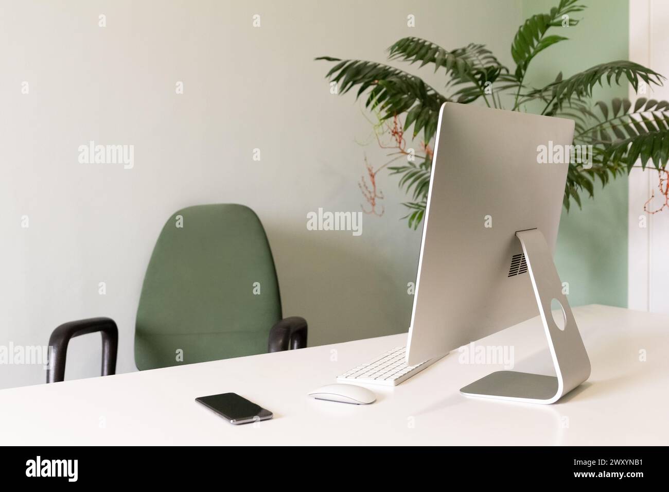 Una scrivania da ufficio pulita e minimalista dotata di computer, smartphone e piante da interni, che segnalano un ambiente di lavoro sereno Foto Stock