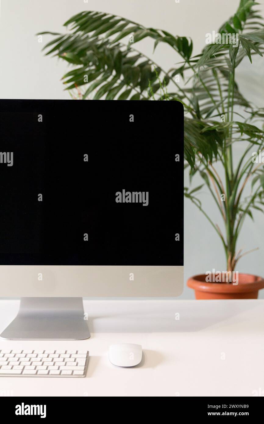 Un'elegante struttura minimalista per ufficio con un elegante computer, tastiera, mouse e una lussureggiante pianta in vaso verde su una scrivania bianca e pulita Foto Stock