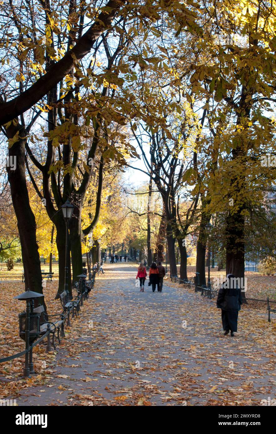 Il Planty Park, i più grandi parchi cittadini di Cracovia, circonda la città Vecchia (stare Miasto), dove le mura medievali della città erano visibili fino all'inizio del XIX secolo Foto Stock