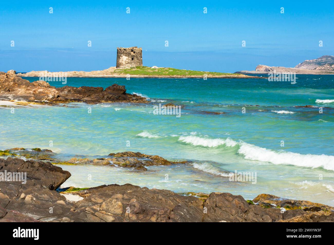 La spiaggia di Stintino "la Pelosa", con la sua iconica sabbia bianca e l'antica torre di avvistamento, è una destinazione turistica ben nota in Italia, per i suoi colori sorprendenti. Foto Stock