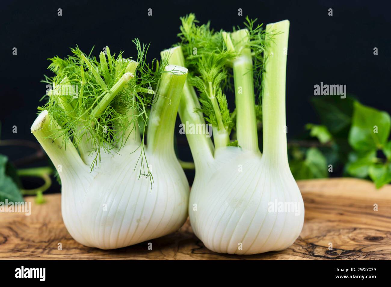 Finocchio dolce (Foeniculum vulgare, Anethum foeniculum), bulbi di finocchio Foto Stock