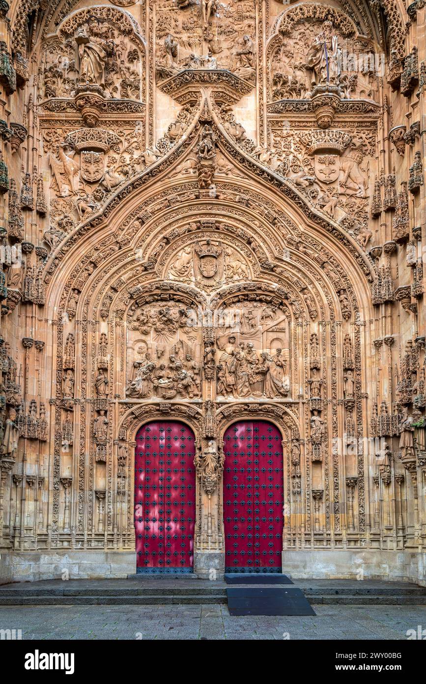 Facciata occidentale della nuova cattedrale, Salamanca, Castiglia e León, Spagna Foto Stock