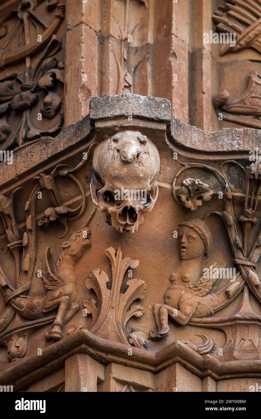 Rana sul cranio scolpita nella facciata in pietra dell'Università, Salamanca, Castiglia e Leon, Spagna Foto Stock