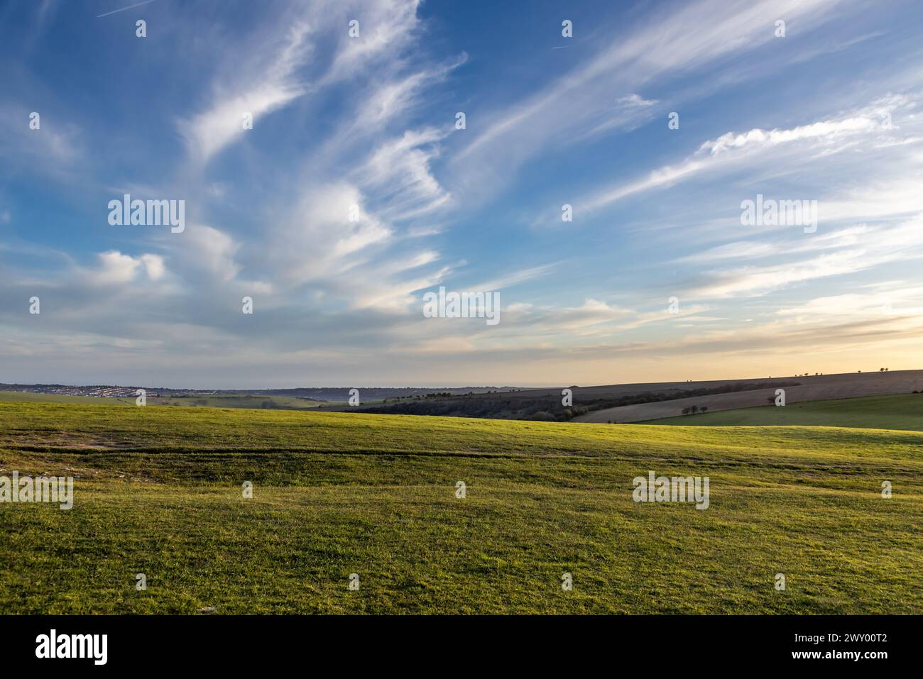 Luce serale sui South Downs al Ditchling Beacon, in prima serata primaverile Foto Stock