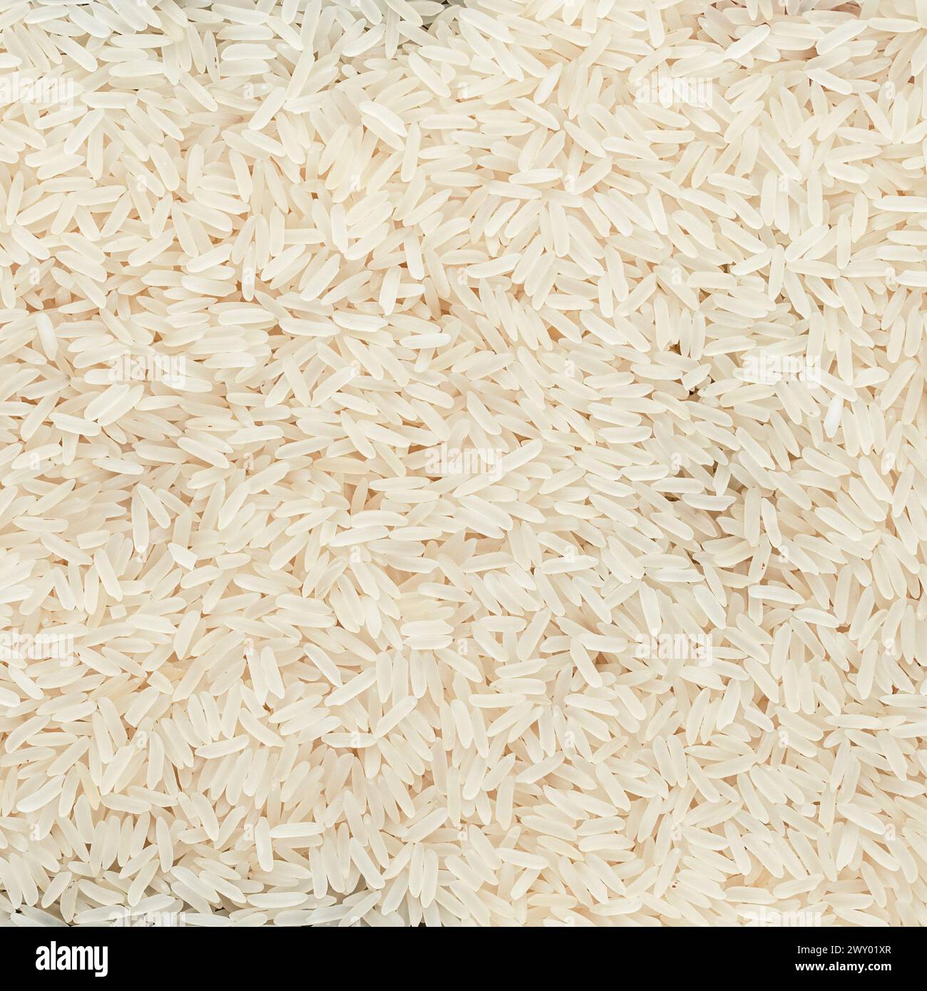 Fondo bianco a grani lunghi. Vista dall'alto Foto Stock