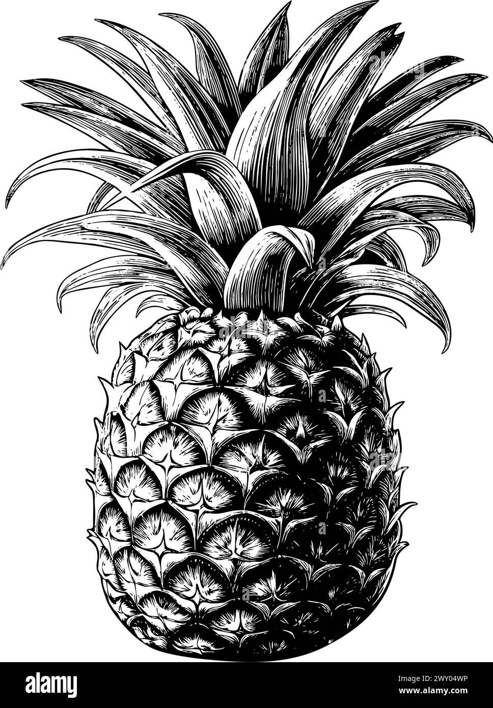 Incisione di ananas frutta isolata trafilata a mano Illustrazione Vettoriale
