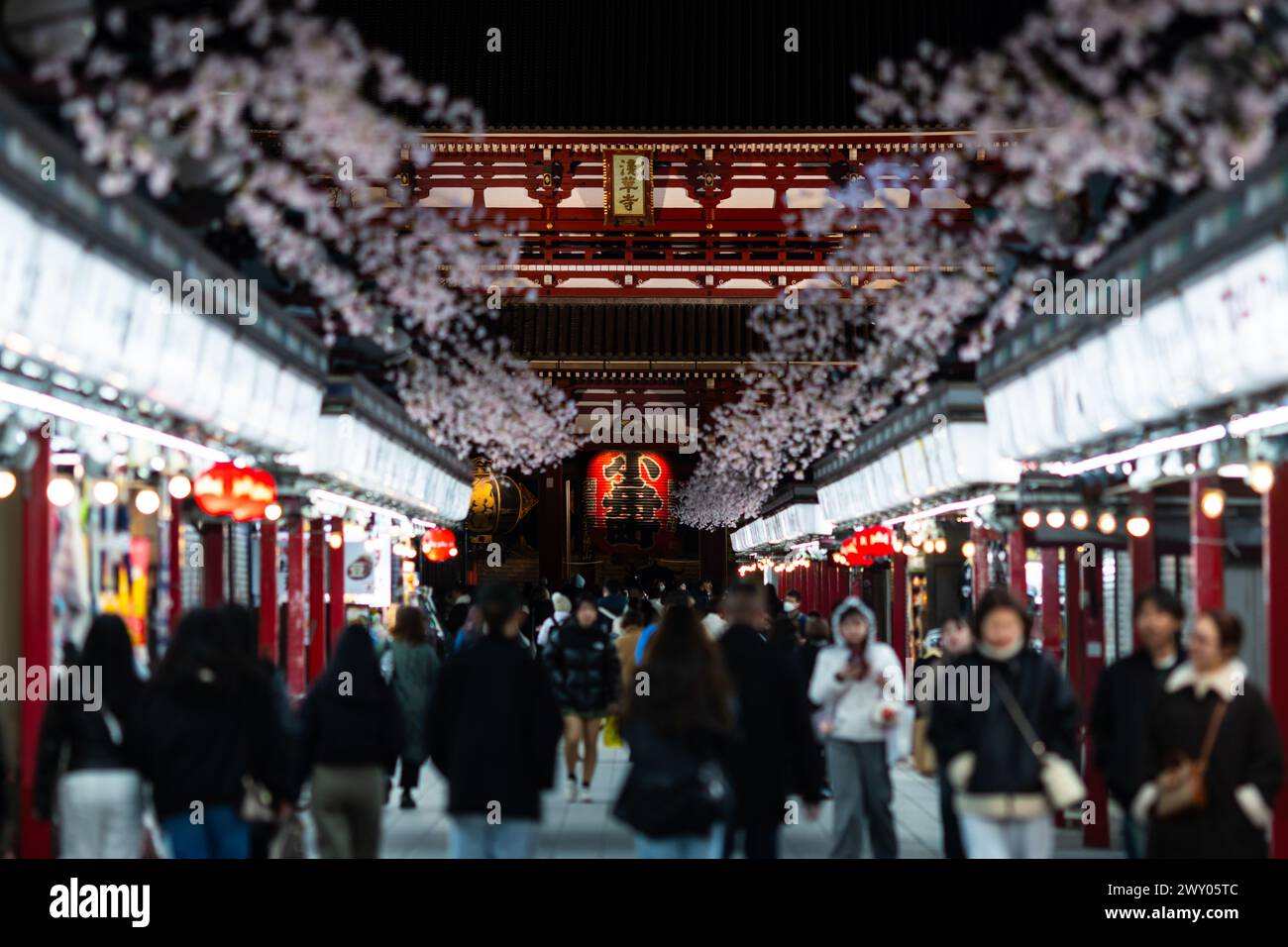 Tokyo, Giappone - febbraio 29 2024: La gente cammina lungo la via Nakamise-dori verso il tempio buddhista senso-Ji nell'area di Asakusa di Tokyo in Giappone. Foto Stock