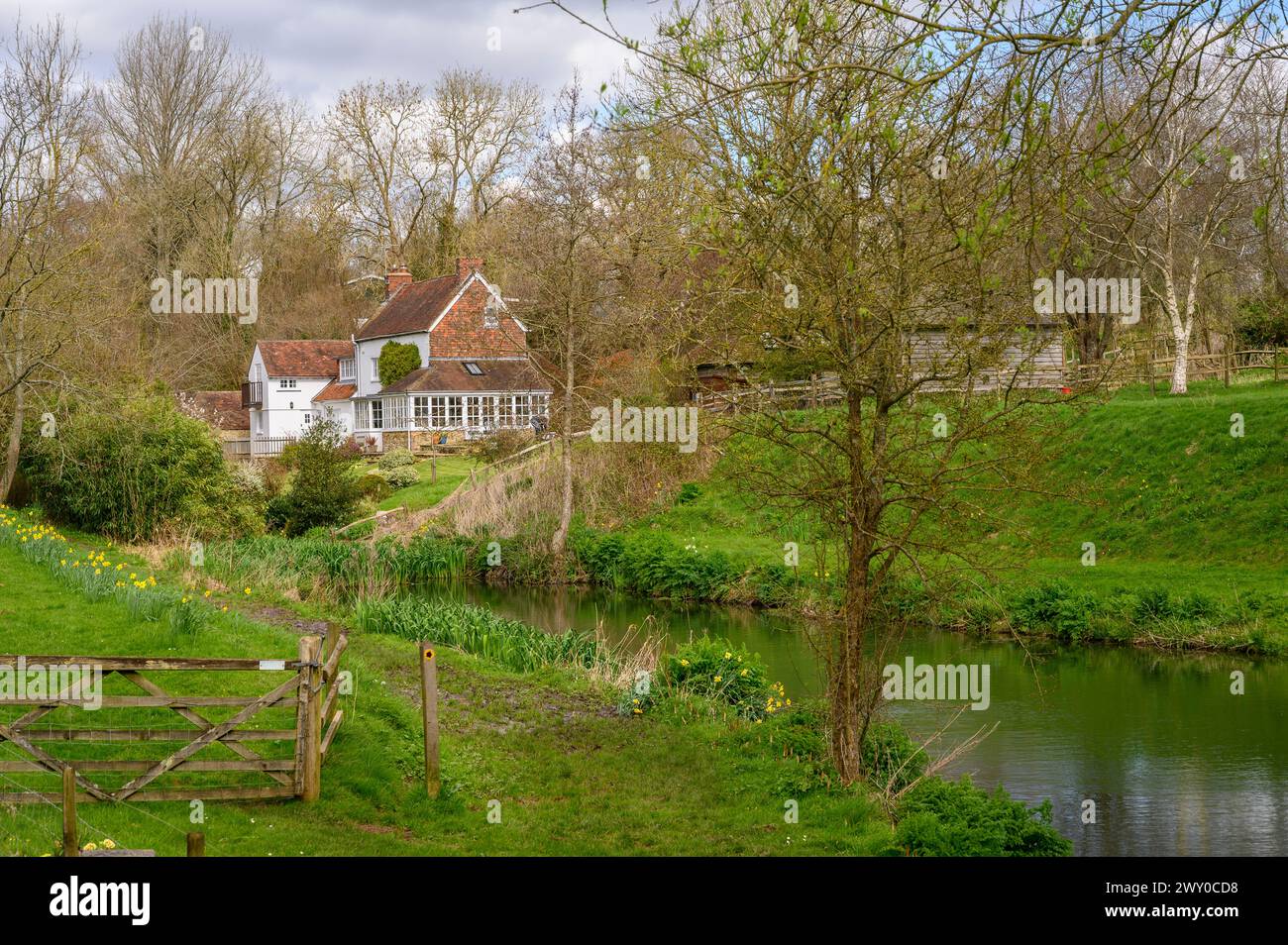 The Mill House in un ambiente pittoresco vicino a un ruscello e a uno stagno all'inizio della primavera a Nutbourne, vicino a Pulborough, nel West Sussex, in Inghilterra. Foto Stock