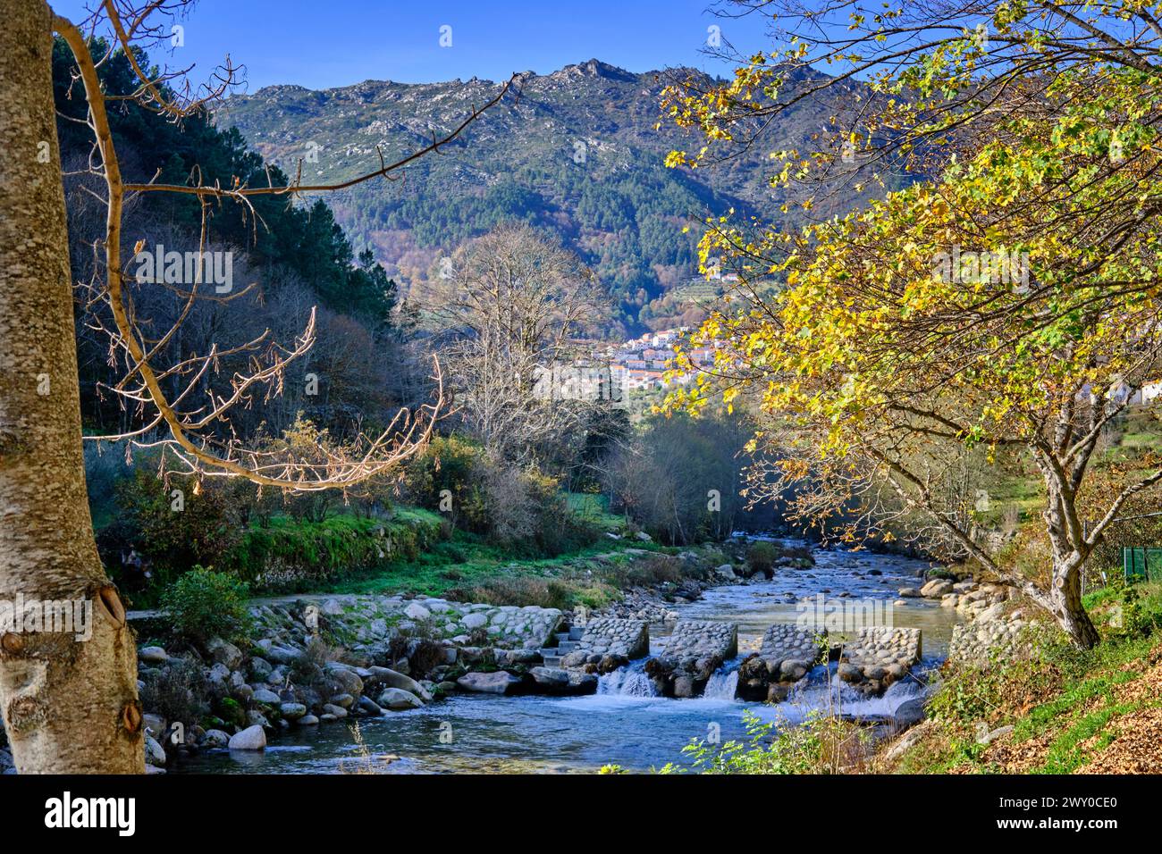 Il fiume Zêzere a Manteigas in autunno. Parco naturale Serra da Estrela, Portogallo Foto Stock