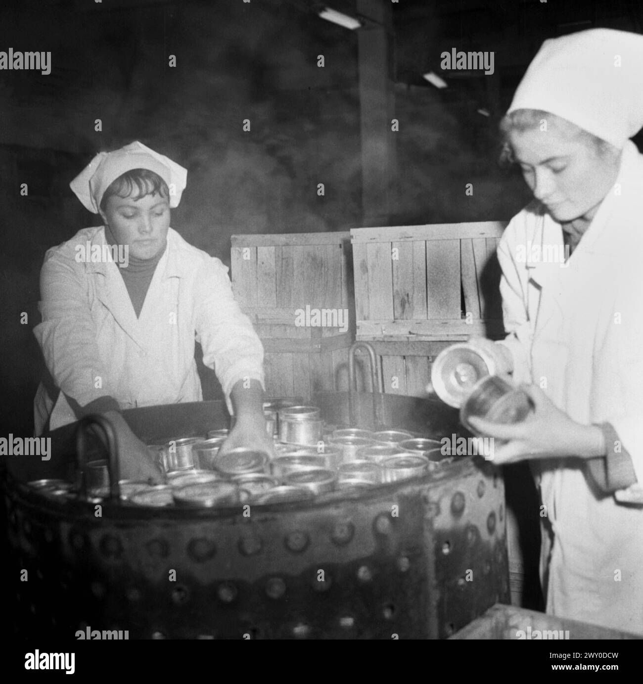 Repubblica Socialista di Romania negli anni '1970 Lavoratori in una fabbrica di conserve alimentare di proprietà statale. Foto Stock