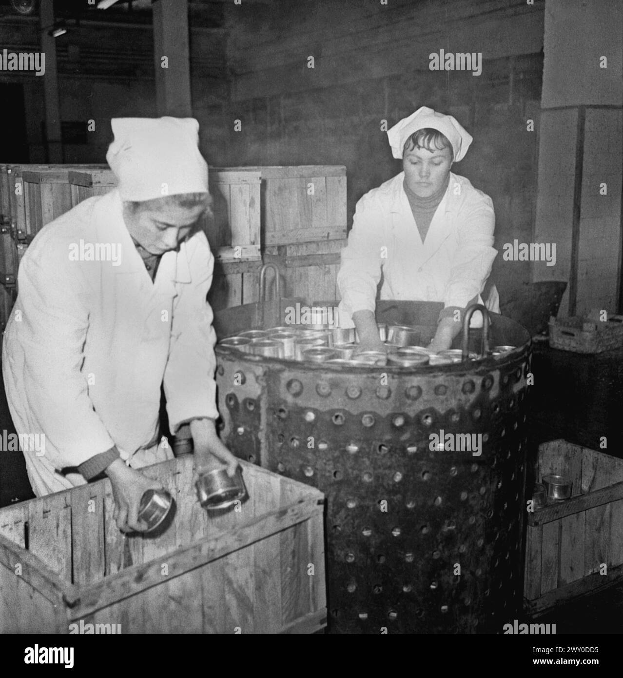 Repubblica Socialista di Romania negli anni '1970 Lavoratori in una fabbrica di conserve alimentare di proprietà statale. Foto Stock