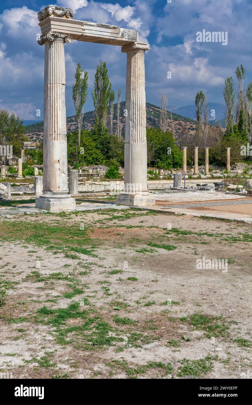 Colonne antiche, Afrodisia, Geyre, Provincia di Aydin, Turchia Foto Stock