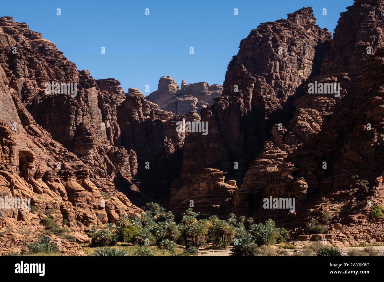 Wadi al Disah, un famoso canyon e un'oasi mozzafiato vicino a Tabuk in Arabia Saudita nel Medio Oriente Foto Stock