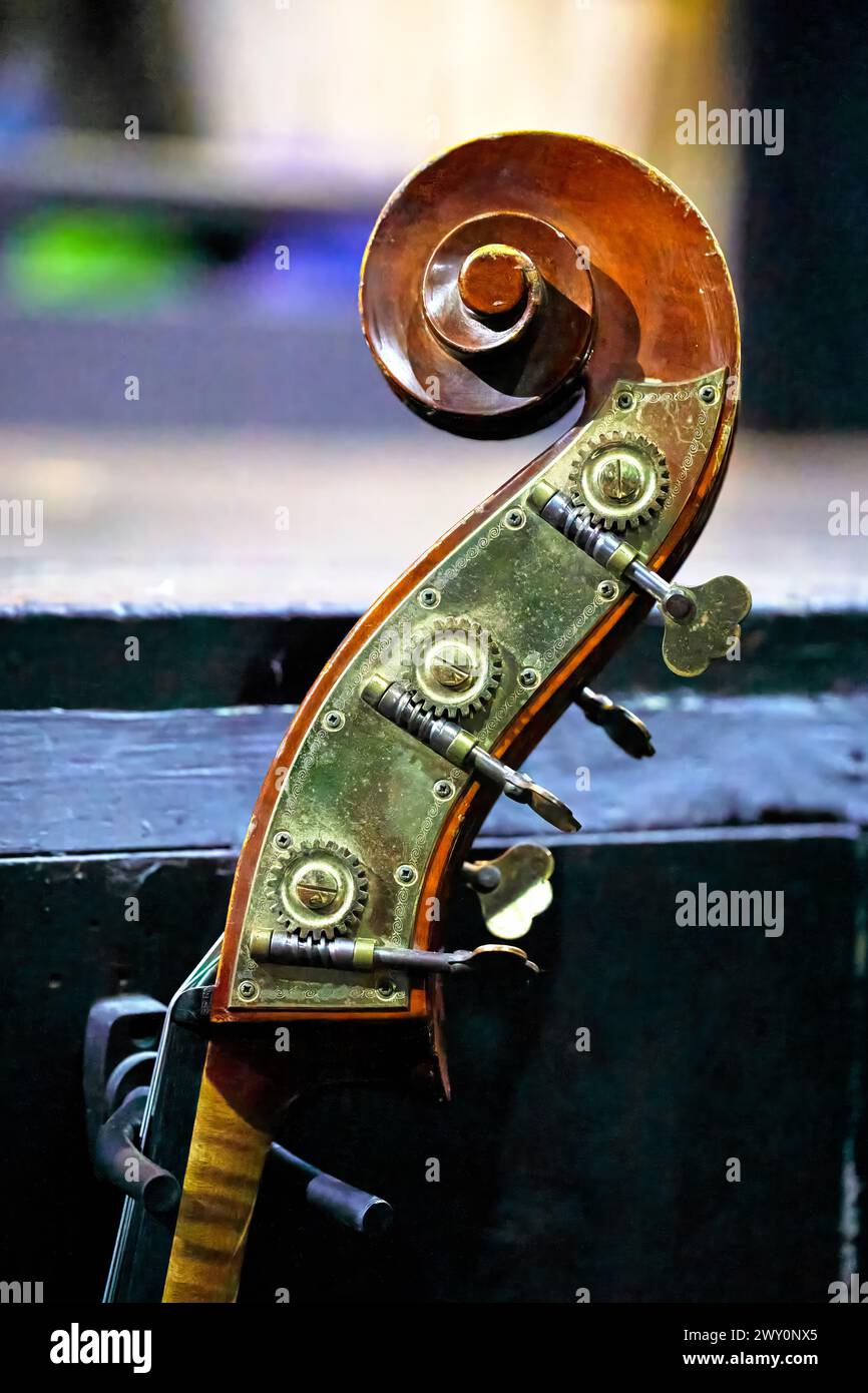 Immagine di un perno per il tensionamento delle corde sul collo di un contrabbasso Foto Stock