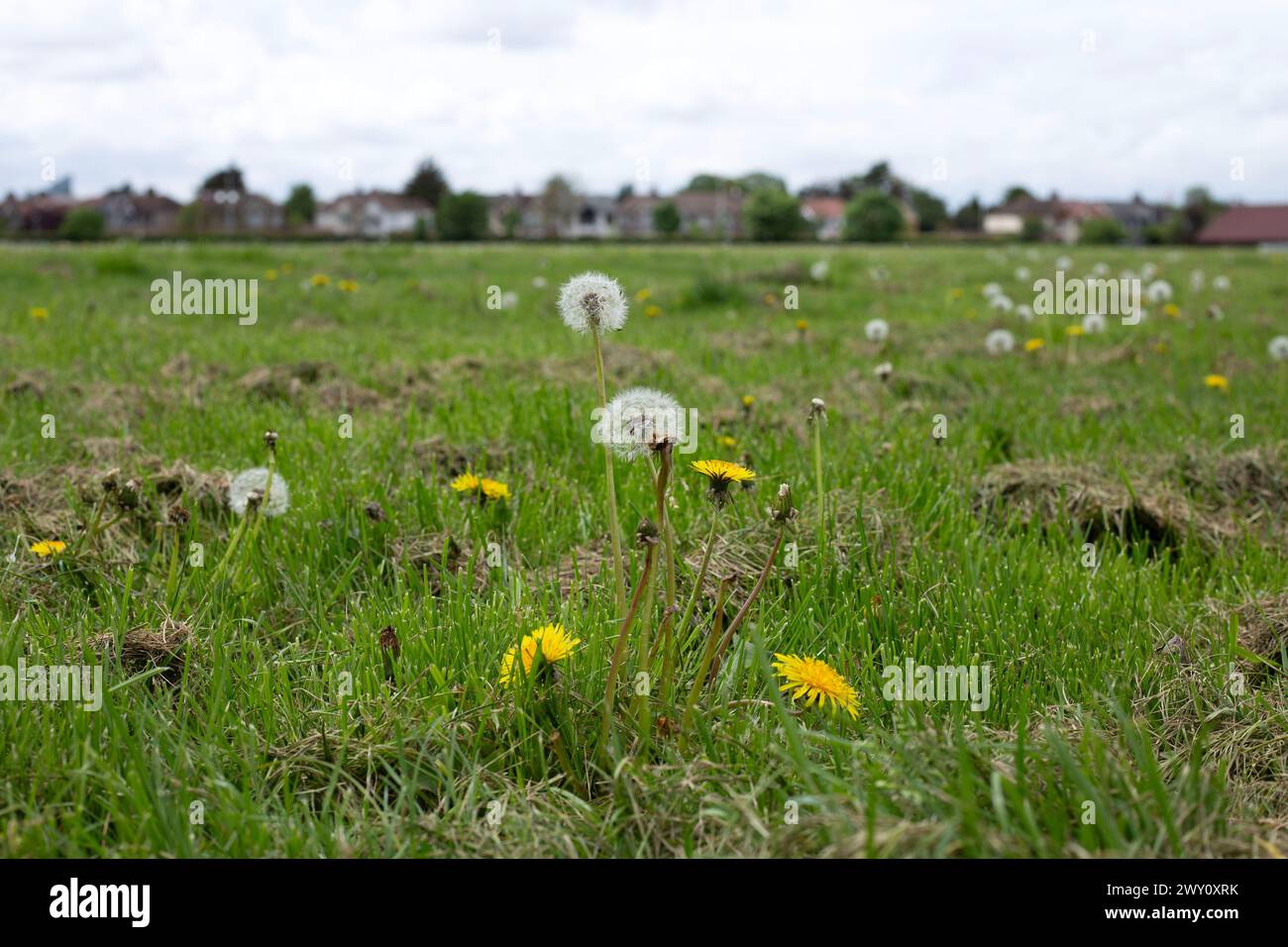 Ilford, est di Londra. Foto Stock