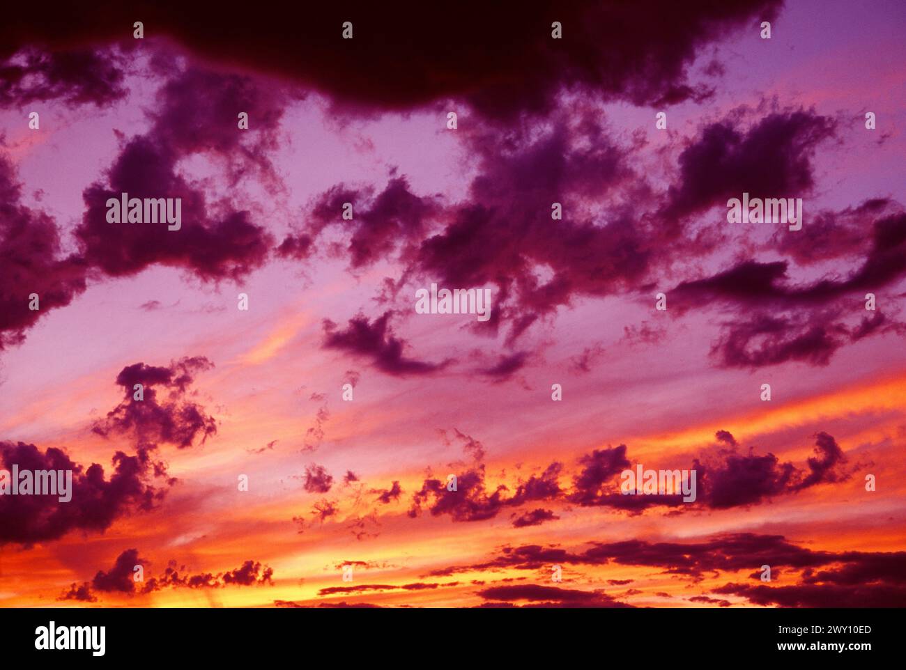 Cielo di tramonto. Foto Stock