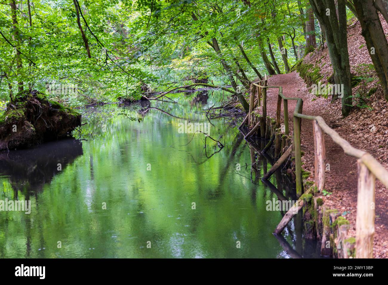 Schlaube im romantischen Schlaubetal, Landkreis Oder-Spree, Brandeburgo, Deutschland *** Schlaube nella romantica valle di Schlaubetal, Oder Spree distr Foto Stock