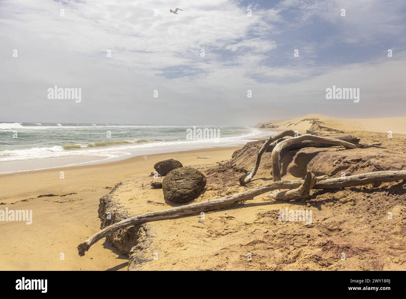 Foto delle dune di Sandwich Harbor in Namibia sulla costa atlantica durante il giorno d'estate Foto Stock