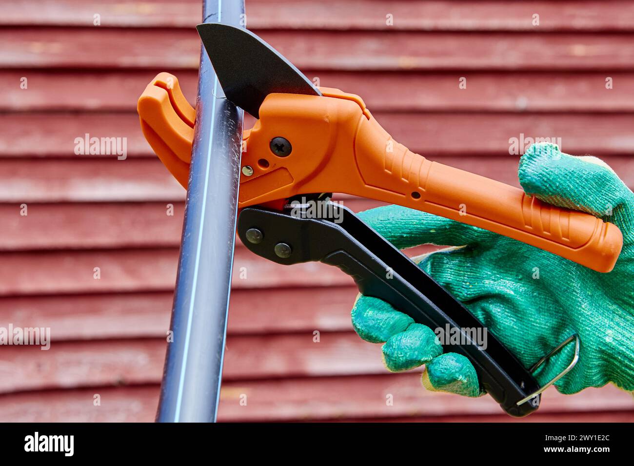 Installazione di un impianto idraulico esterno per l'acqua potabile e l'orto, tagliatubi per idraulici taglia il tubo in polietilene, primo piano contro il rosso Foto Stock