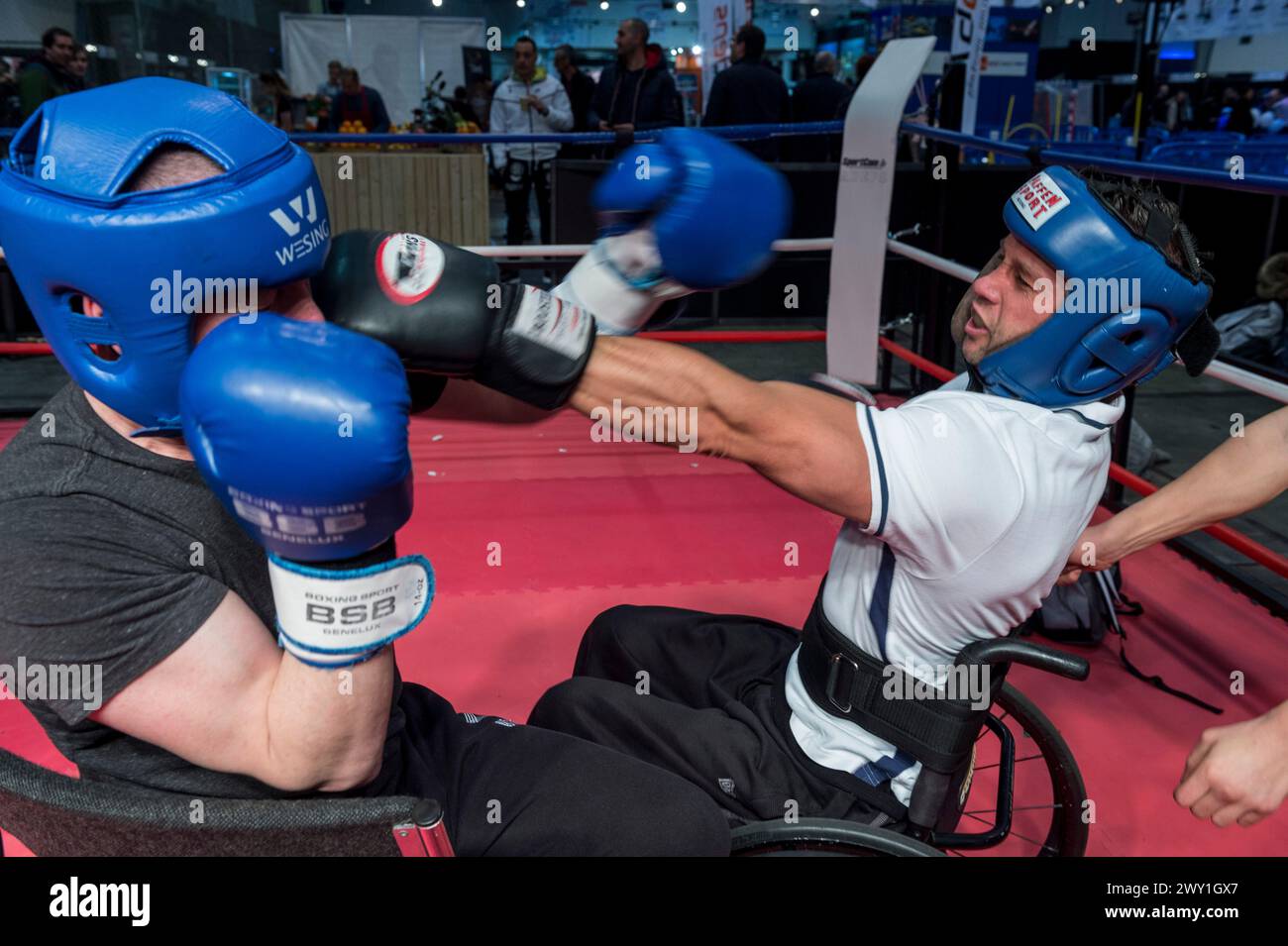 Premier Salon du sport a Bruxelles. Combat de presentation entre un boxeur valide et un boxeur en chaise roulante - Boxe anglaise | prima fiera sportiva Foto Stock