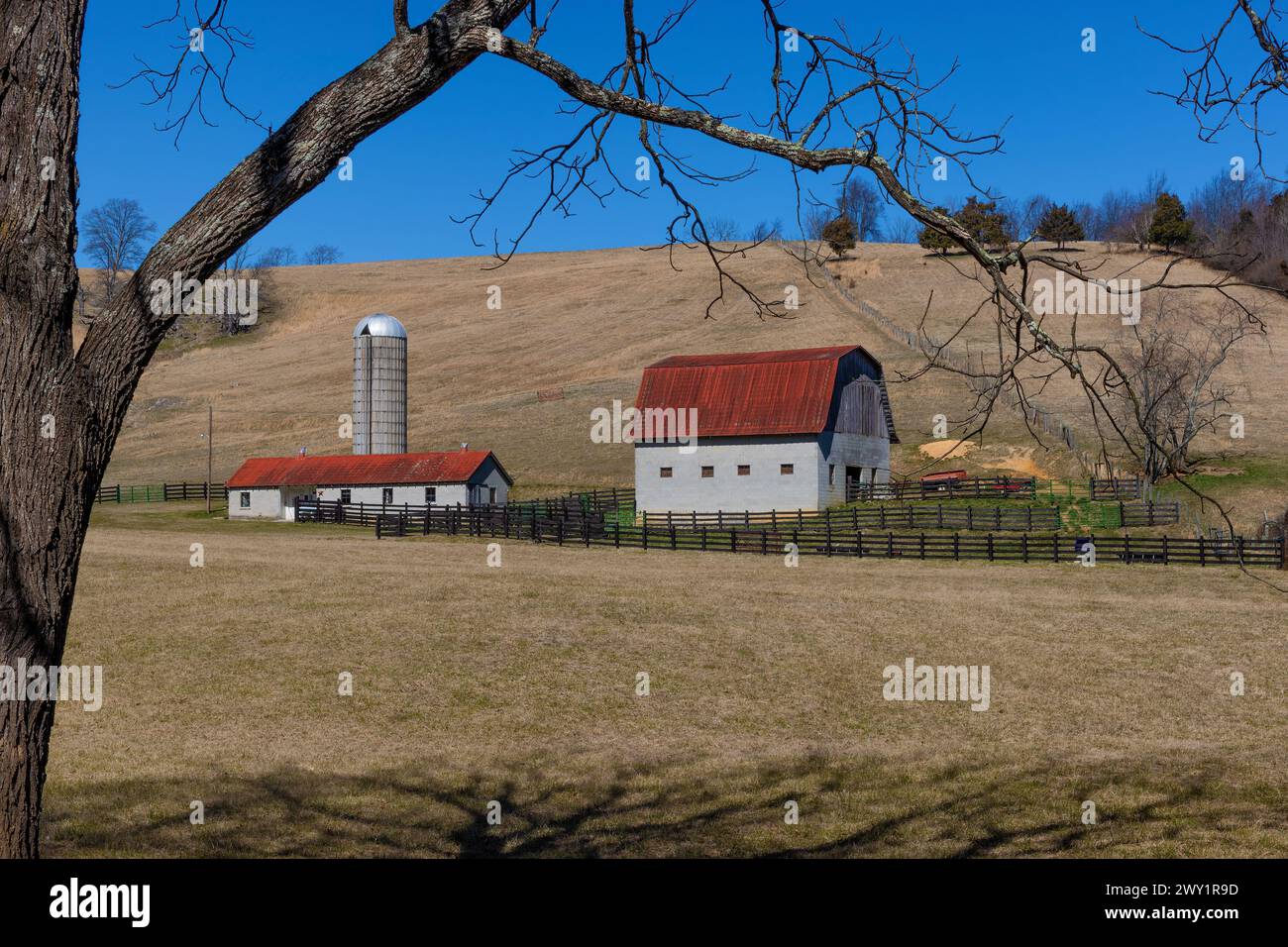 Vista della campagna di un grande fienile e di un edificio esterno con un silo in questo paesaggio agricolo. Foto Stock