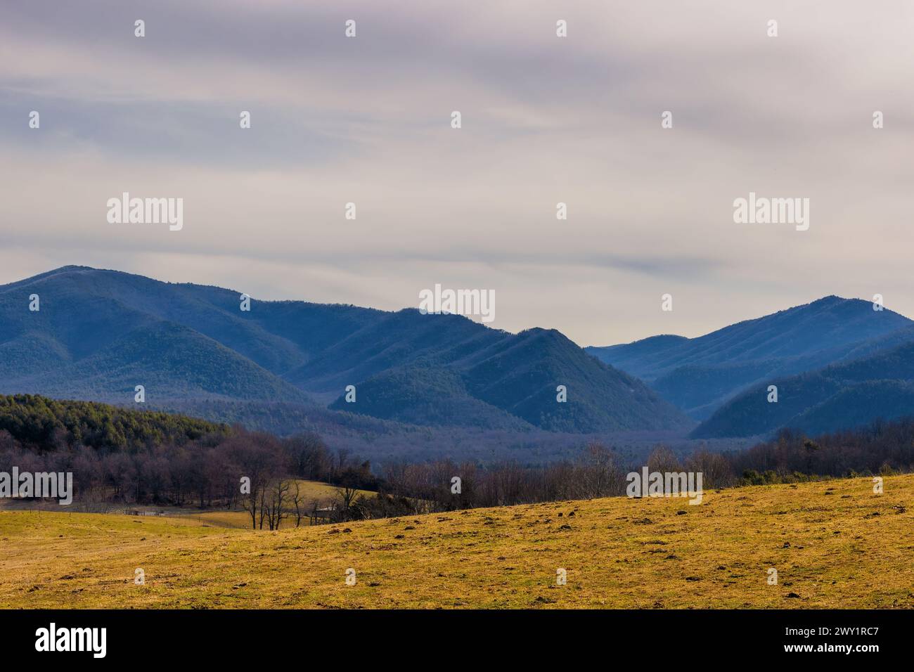 Vista panoramica di una sezione delle Blue Ridge Mountains vista nella campagna della Virginia vicino a Staunton. Foto Stock