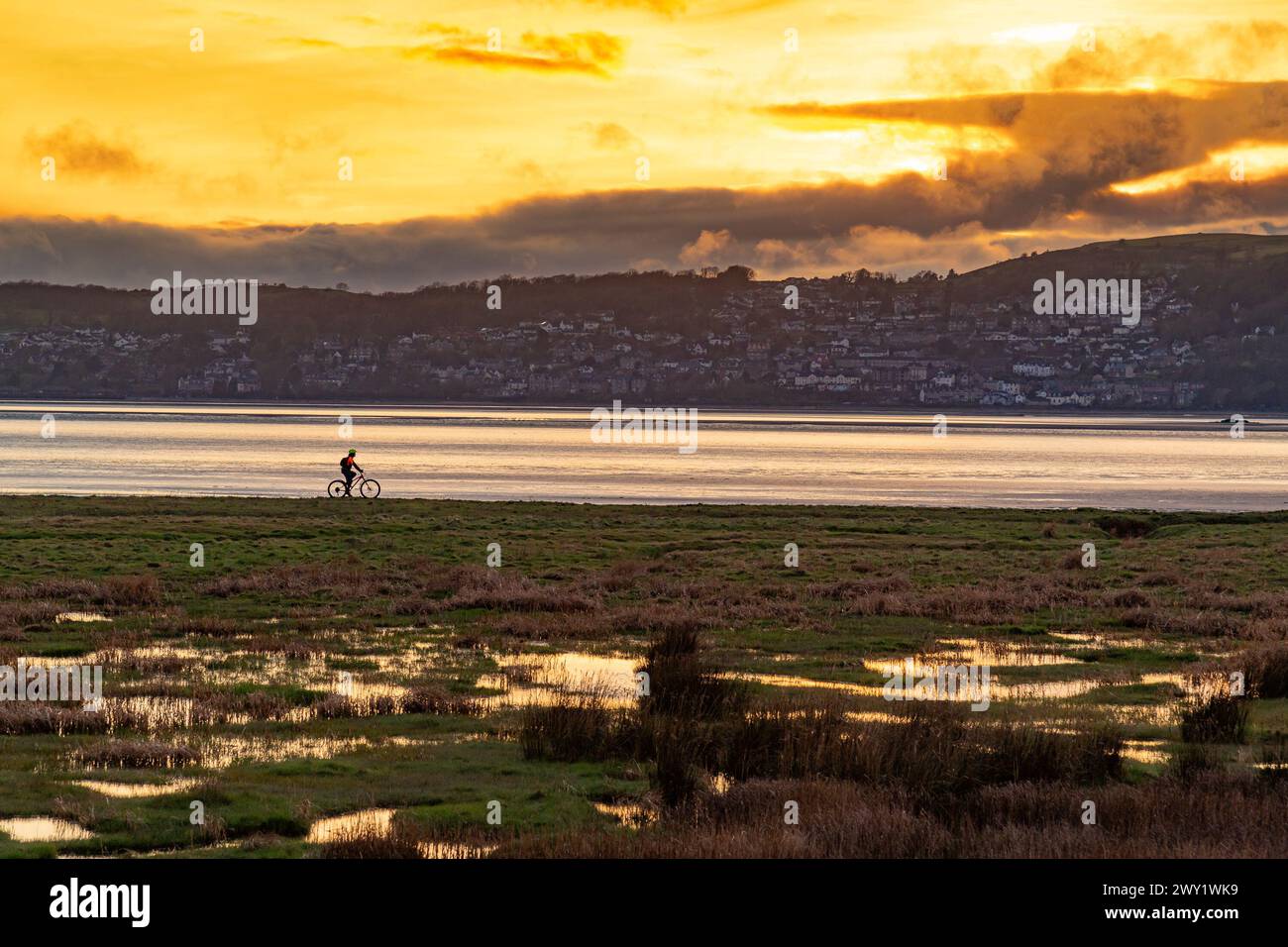 Grange-over-Sands, Cumbria, Regno Unito. , . In bicicletta al tramonto. Grange-over-Sands da New Barns Bay, Arnside, Milnthorpe, Cumbria, Regno Unito. Crediti: John Eveson/Alamy Live News Foto Stock