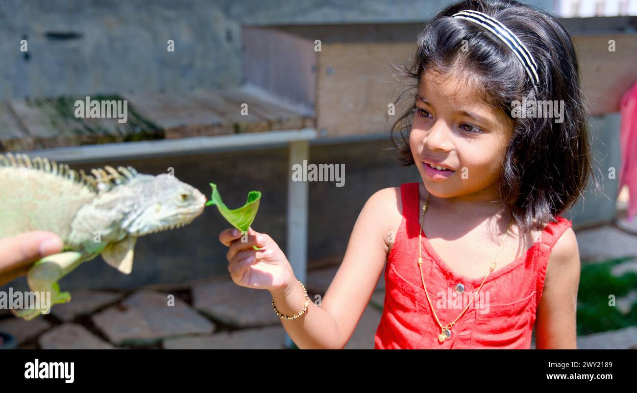 Una giovane ragazza accovacciata con attenzione nell'erba, la sua mano tesa verso una magnifica iguana verde crogiolata al sole. Foto Stock