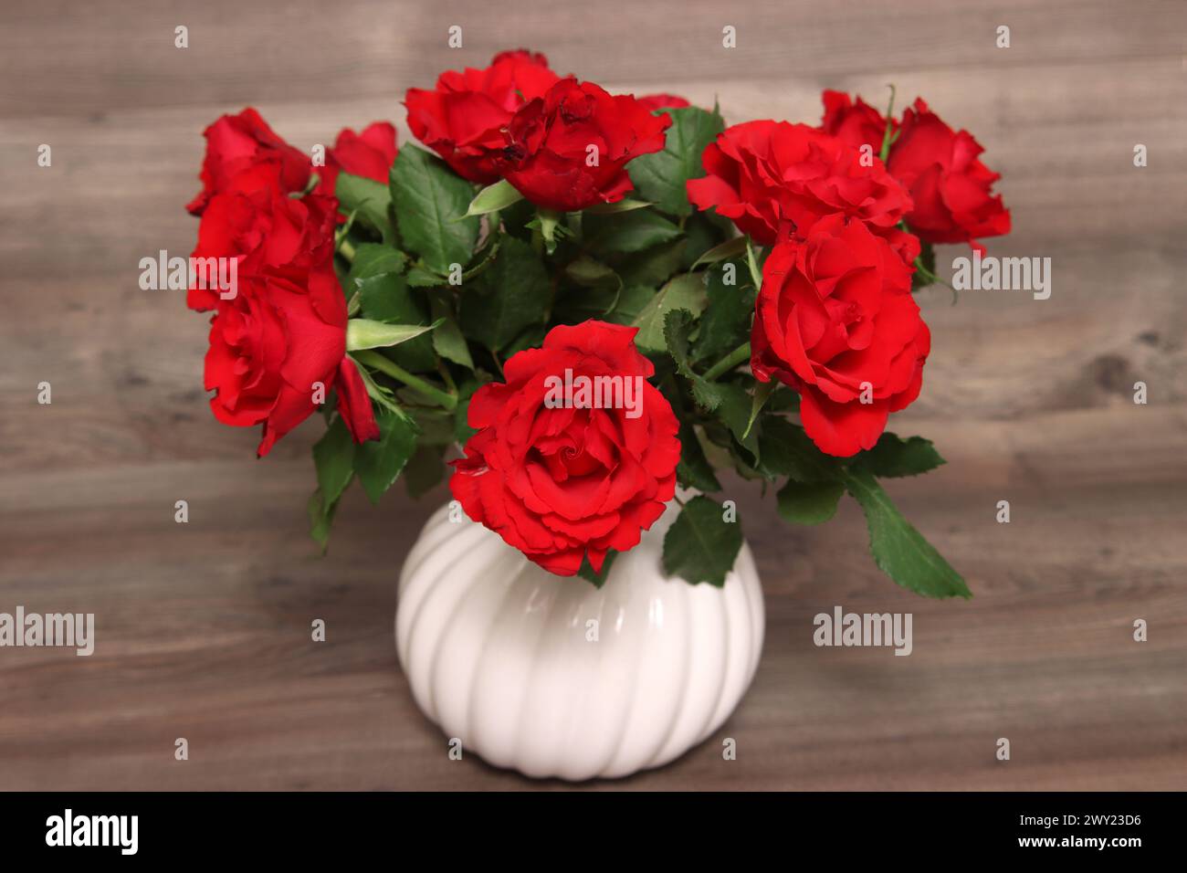 Red Roses in Un vaso di fiori Foto Stock