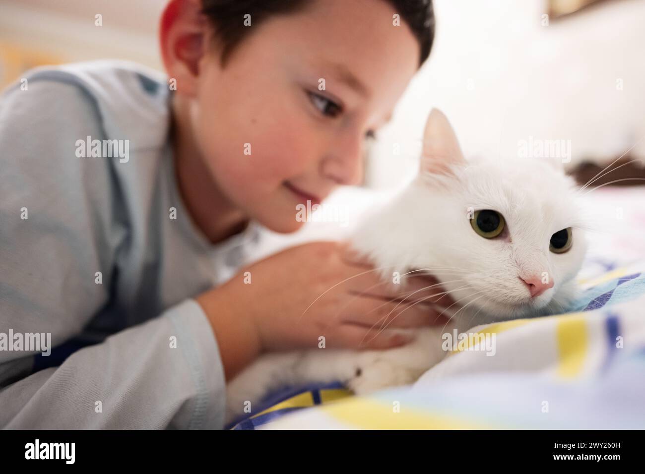 Un'immagine rilassante che cattura un momento di affetto quando un bambino accoppia con cura un gatto bianco rilassato disteso su un letto. Foto Stock