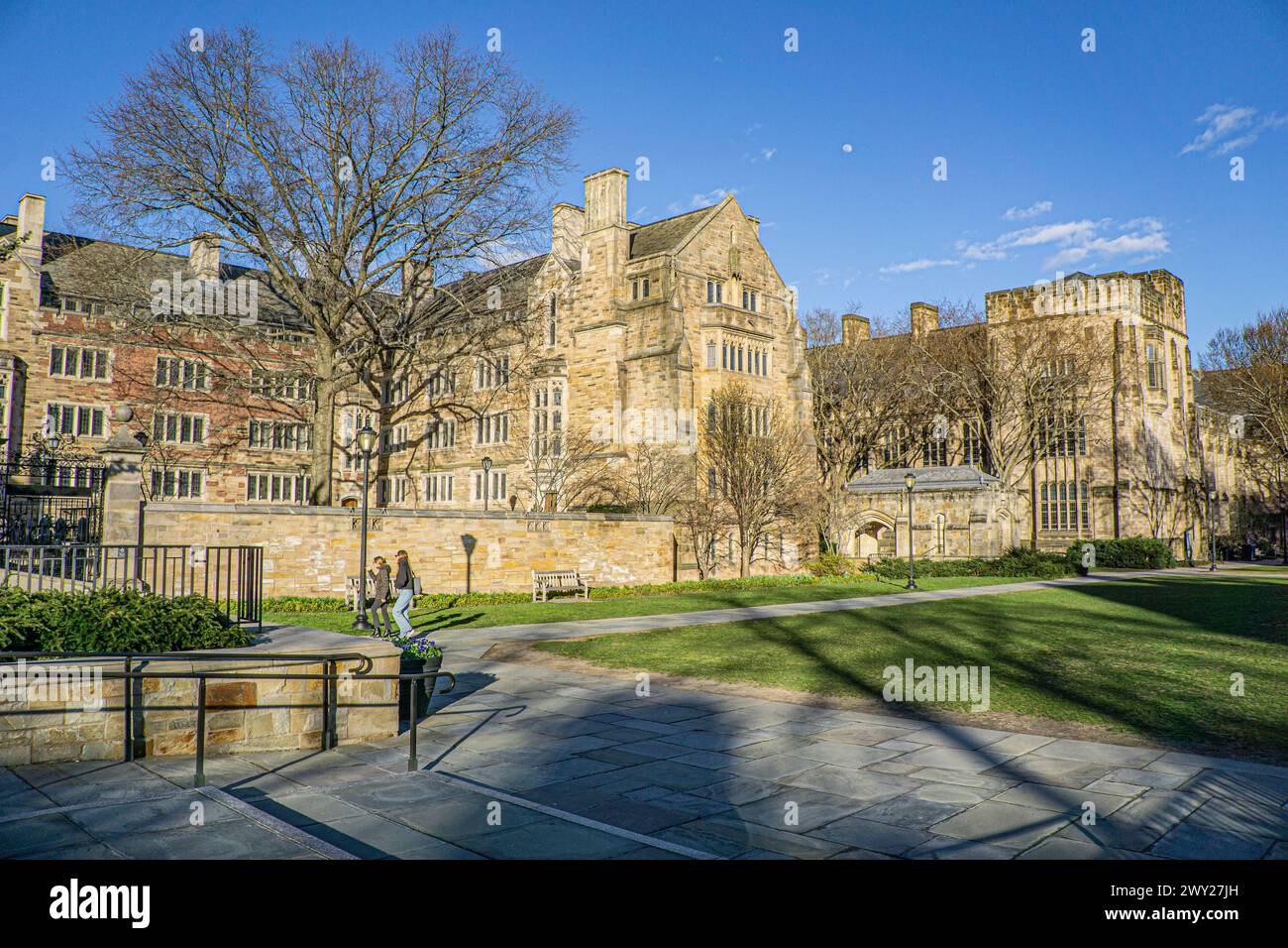Anne T. & Robert M. Bass Library, vista esterna, Yale University, New Haven, Connecticut, STATI UNITI Foto Stock