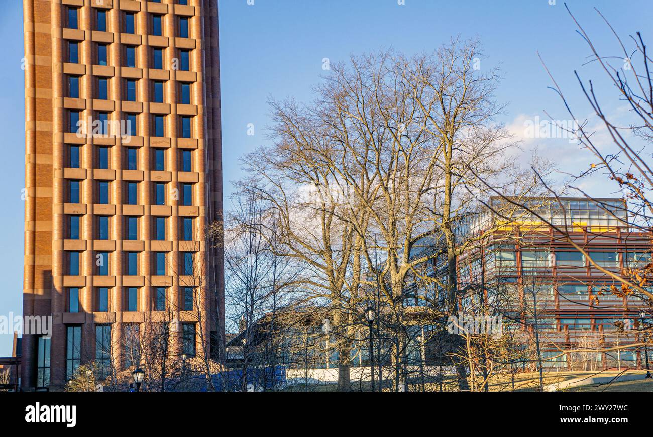 "Kline Biology Tower, vista esterna, e Science Hill, Yale University, New Haven, Connecticut, USA Kline Biology Tower, Yale University, college e. Foto Stock