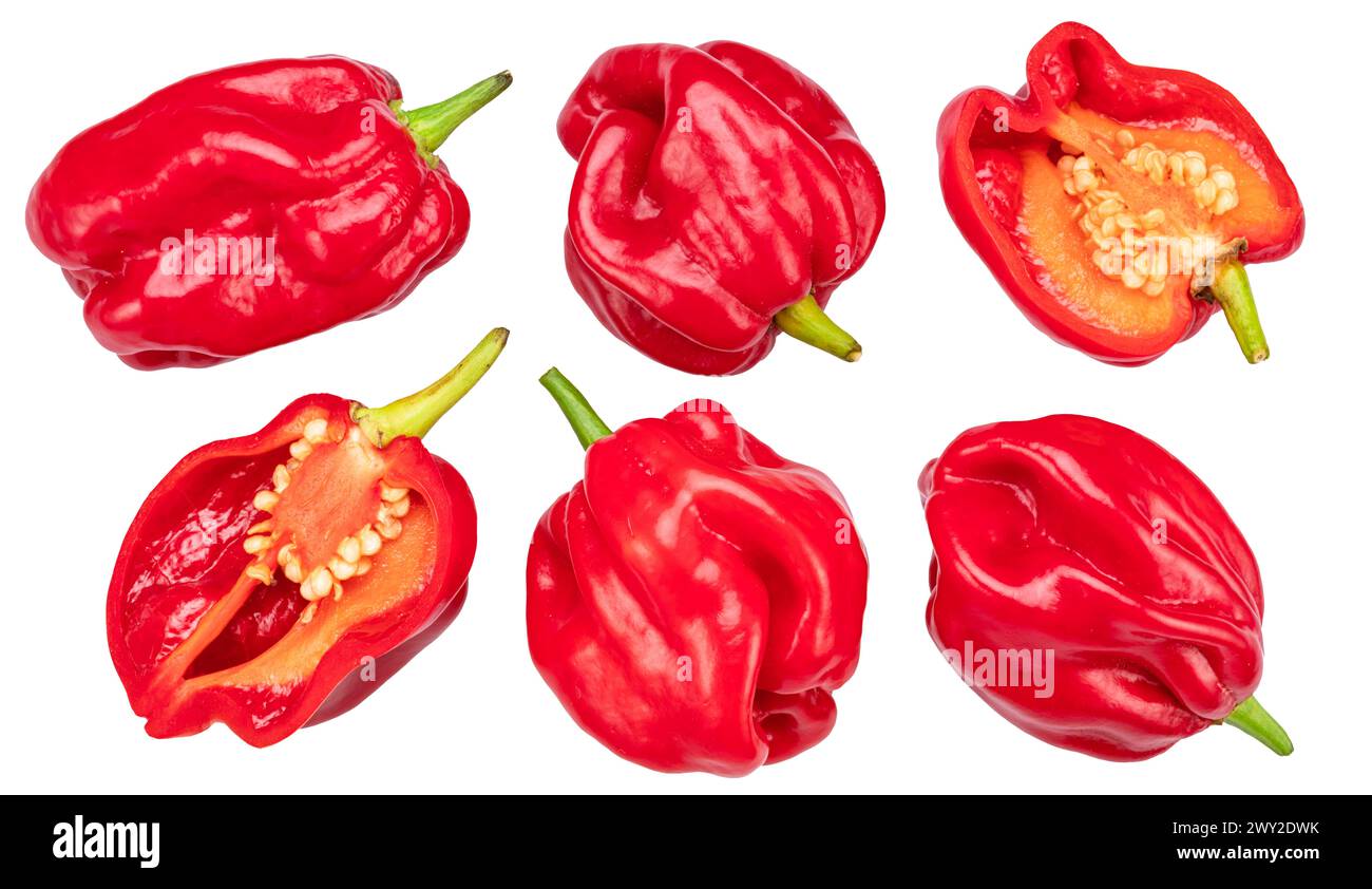 Set di peperoni habanero rossi su sfondo bianco. Il file contiene percorsi di ritaglio. Foto Stock