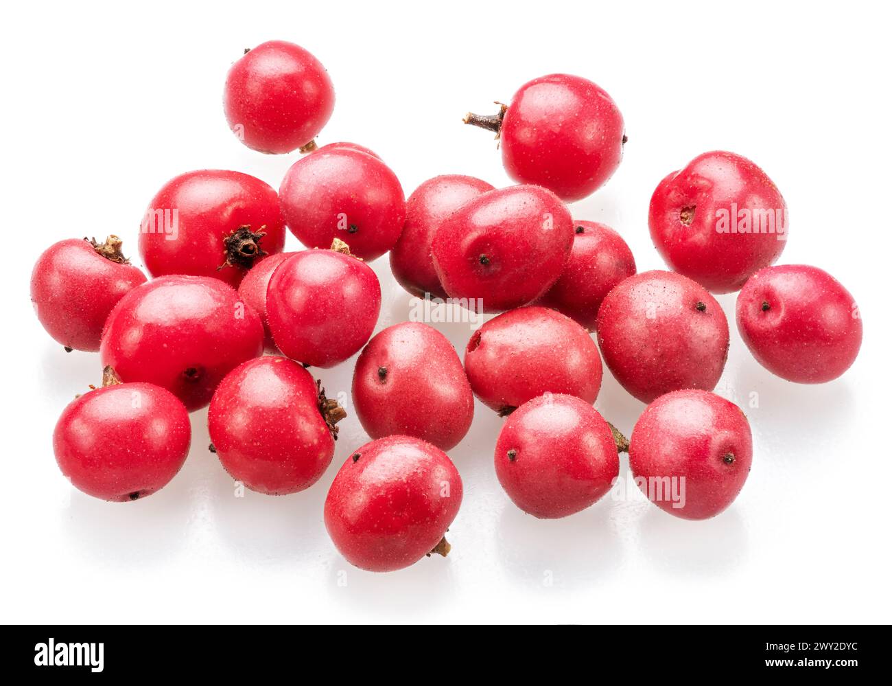 Grani di pepe rosa freschi isolati su sfondo bianco. Foto Stock