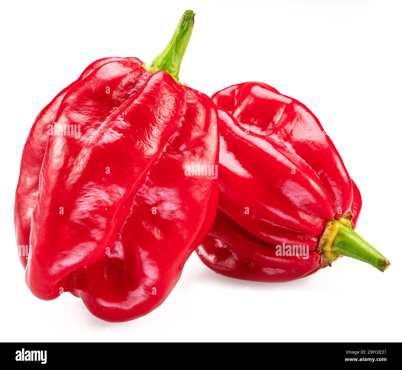 Peperoni habanero rossi isolati su sfondo bianco. Foto Stock