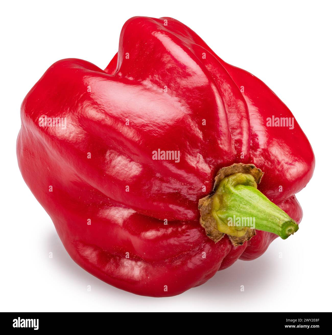 Pepe habanero rosso su sfondo bianco. Il file contiene il percorso di ritaglio. Foto Stock