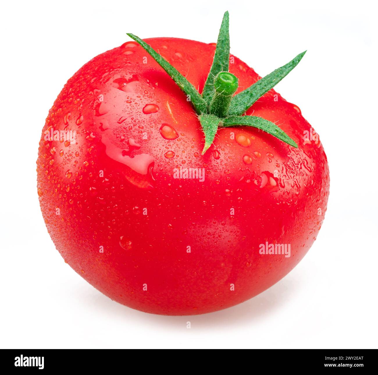 Pomodoro rosso appena lavato ricoperto da gocce d'acqua su sfondo bianco. Foto Stock