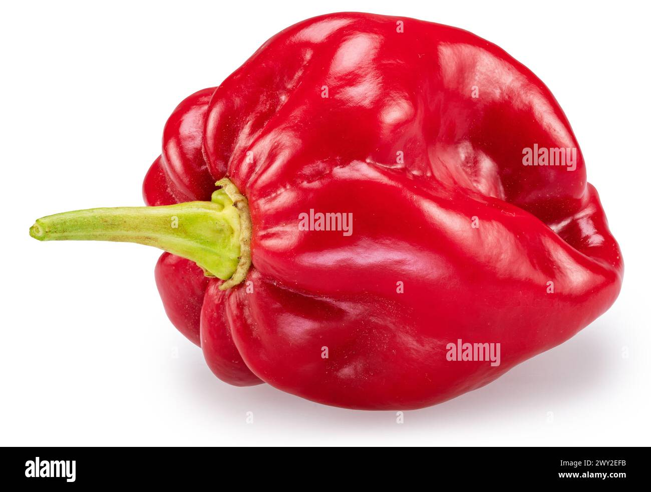 Pepe habanero rosso su sfondo bianco. Il file contiene il percorso di ritaglio. Foto Stock