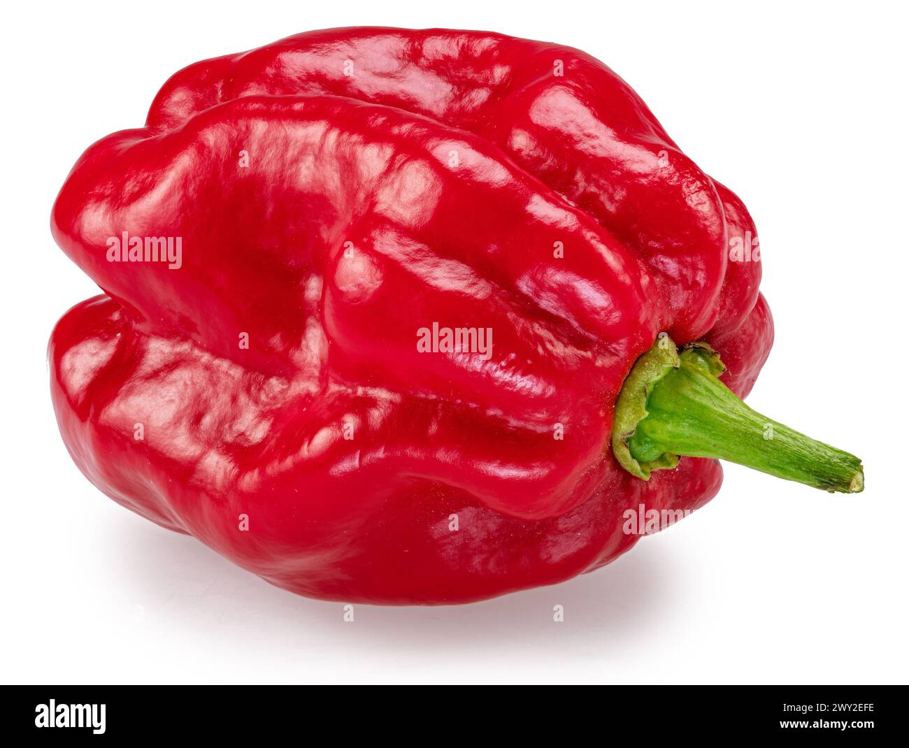 Pepe habanero rosso su sfondo bianco. Il file contiene il percorso di ritaglio. Foto Stock
