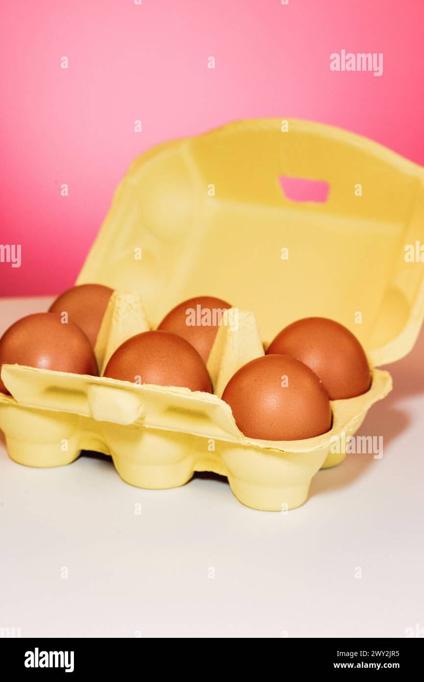 STILL Life of Carton of Fresh Brown Eggs, 2024, USA Foto Stock