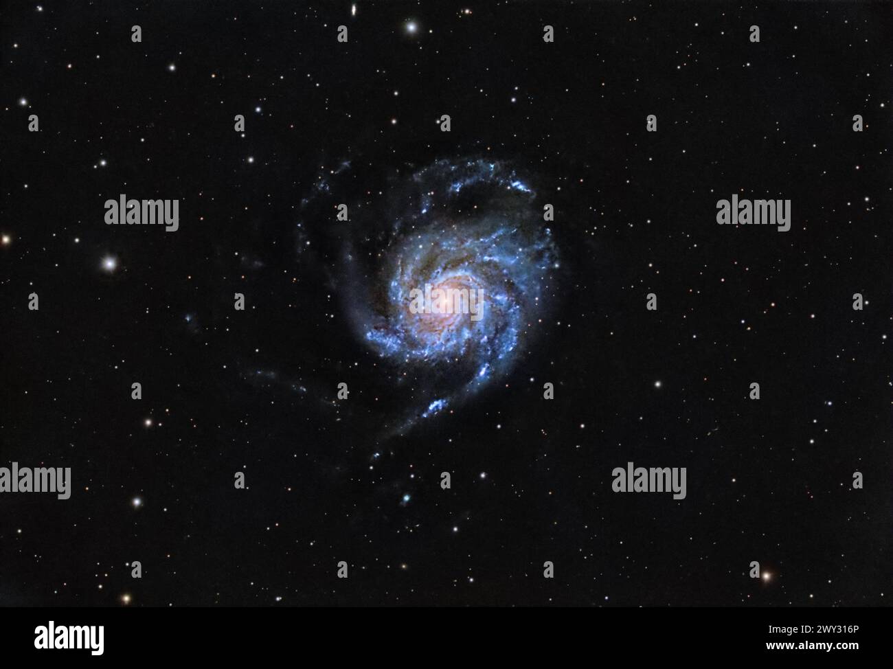 Vista mozzafiato di M101, la Pinwheel Galaxy, catturata dal mio osservatorio sul cortile. Foto Stock