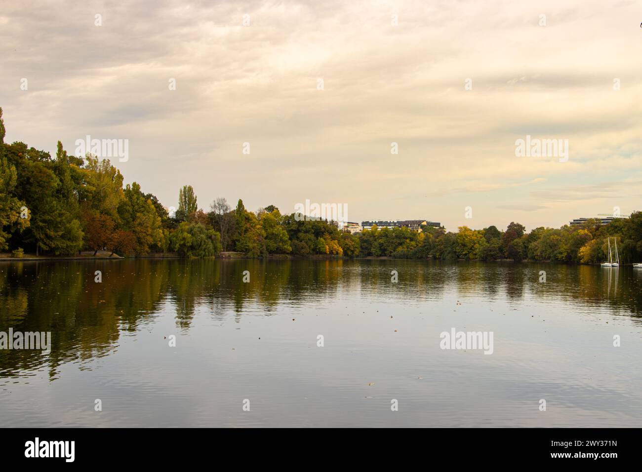 Lago Mogosoaia al tramonto alberi riflessi nel lago Mogosoaia Foto Stock