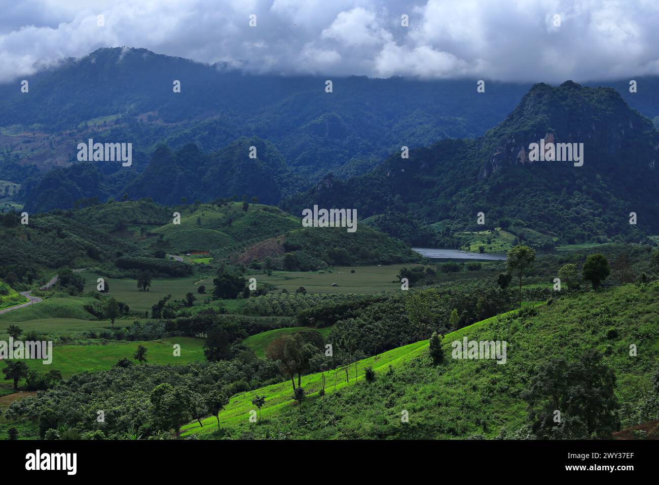 Vista panoramica sulla foresta, Tham Sakaen, zona di confine della provincia di Nan. Con la provincia di Phayao, Thailandia Foto Stock